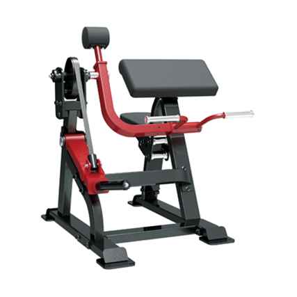 Sterling Series, Bicep Curl GymFitnessUk