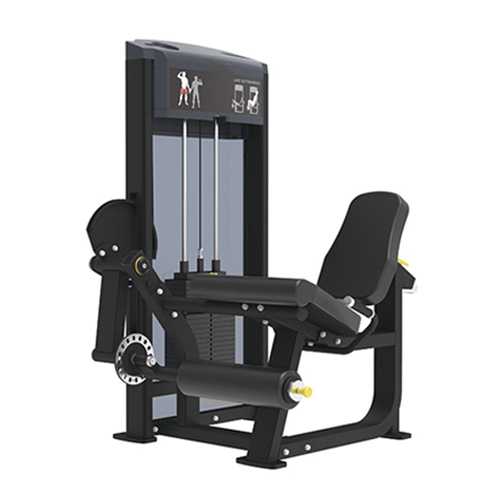 Gym Machines Transform Your Fitness Journey with Cutting-Edge equipment