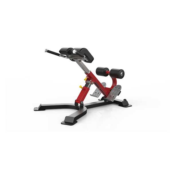 Sterling Series, Multi Hyper Extension GymFitnessUk