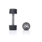 Nucleus Urethane Dumbbells 1kg – 50kg Pairs GymFitnessUk